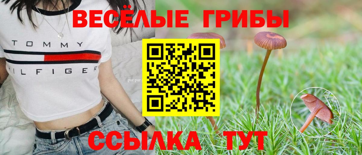 Галлюциногенные грибы мицелий  Вход с VPN  Псилоцибиновые грибы Cubensis  Ессентуки 