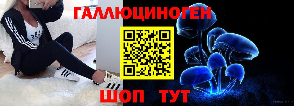 Псилоцибиновые грибы ЛСД Ессентуки